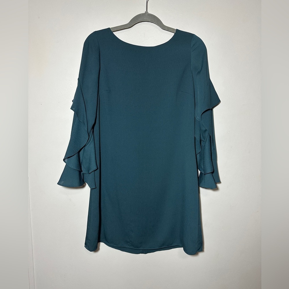 Ann Taylor Petite Green Bell Sleeves with Boat Neck Size 2P